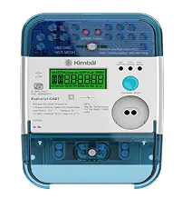 Kushal HTCT Smart Meter
